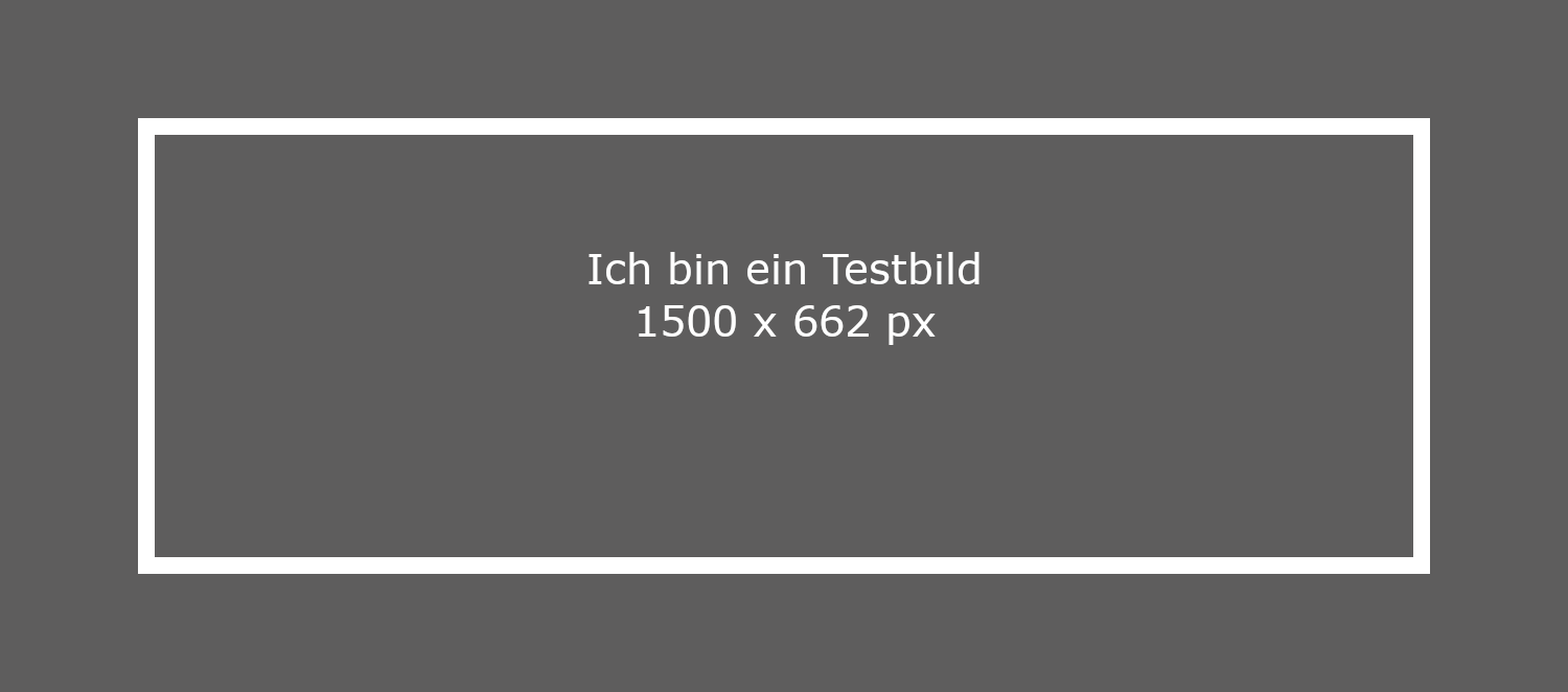 Dummybild ZBFS